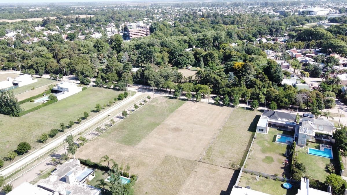 Imagen de la publicación